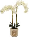 Clearance 24 Inch White Faux Orchid Arrangement in Wood Pot