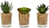 Assorted Faux Succulent Arrangement in Glass Container