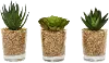 Clearance Assorted Faux Succulent Arrangement in Glass Container