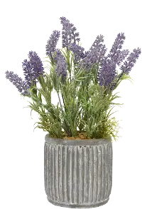14 Inch Faux Lavender Arrangement in Ridged Pot