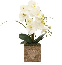 White Faux Orchid Floral Arrangement in Heart Pot