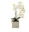 20 Inch Faux White Orchid Arrangement in Textured Pot