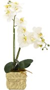 22 Inch Faux White Orchid Arrangement in Burlap Bag
