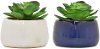 Clearance Assorted Faux Green Succulent Arrangement in Pot