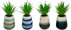 Clearance Assorted Faux Green Succulent Arrangement in Striped Pot