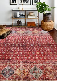 4 x 6 Small Traditional Zaidan Rust Area Rug - Impressions-2
