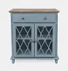 Contemporary Blue 2 Door Accent Cabinet - Aurora Hills