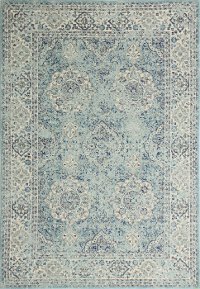 4 x 6 Small Traditional Alberta Aqua Area Rug - Everek-5