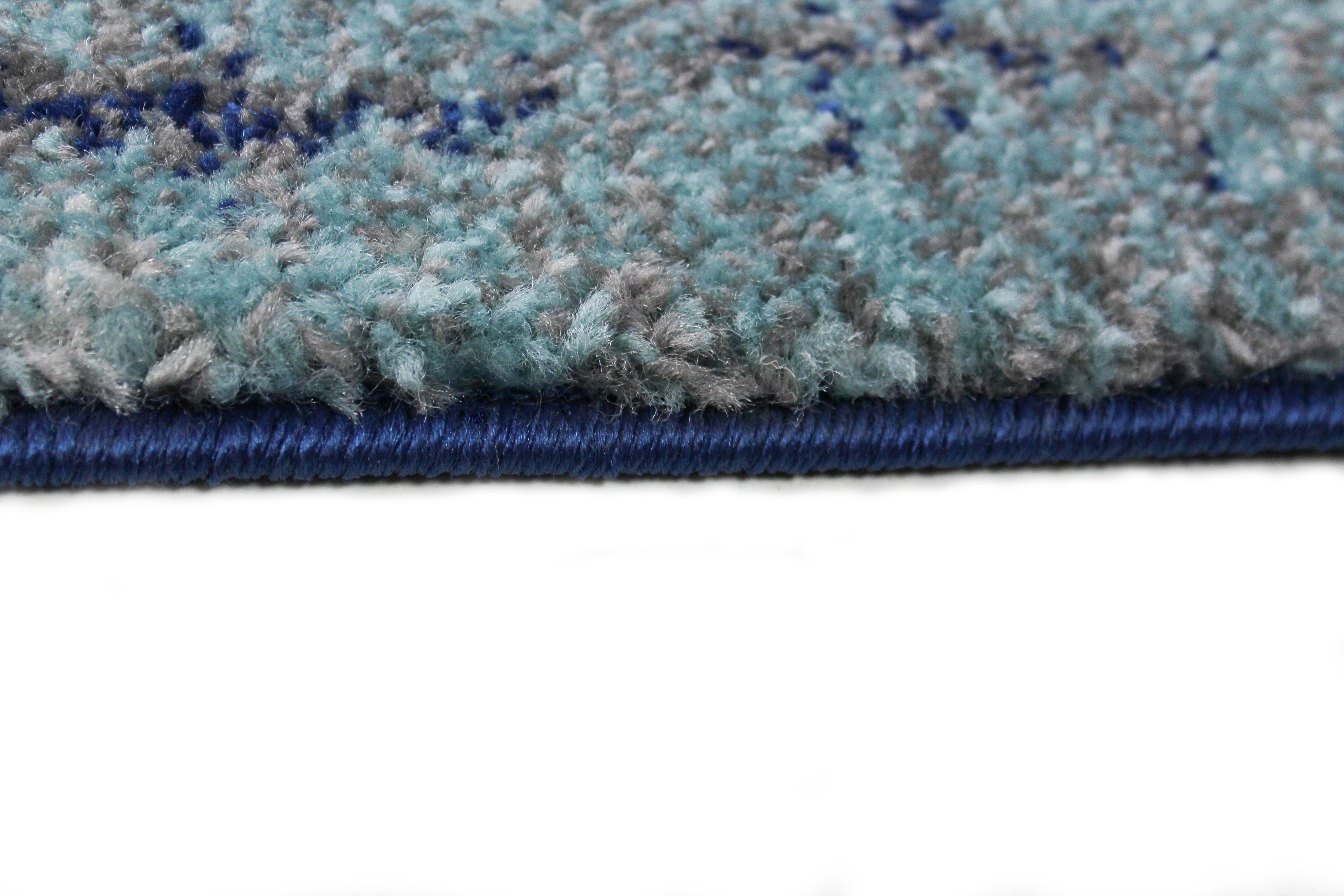 Everek 4 x 6 Traditional Paola Blue and Gray Area Rug-5
