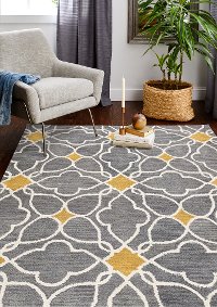 4 x 6 Small Contemporary Alpine Gray Area Rug - Chelsea-2