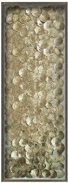 Gold Coastal Shells with Wooden Frame Wall Decor