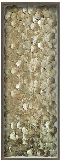 Gold Coastal Shells with Wooden Frame Wall Decor