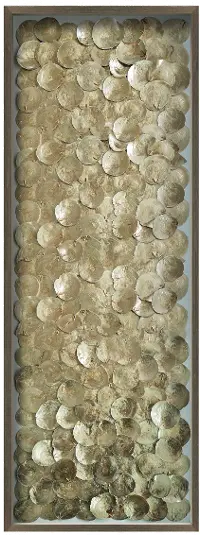 Gold Coastal Shells with Wooden Frame Wall Decor