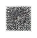 Gray and Black Outlined Shells with Acrylic Frame Wall Decor