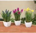 Assorted 9 Inch Spring Faux Floral Potted Arrangement