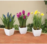 Assorted 9 Inch Spring Faux Floral Potted Arrangement