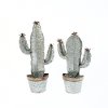 Assorted Metal Cactus Wall Planter