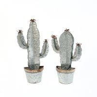 Assorted Metal Cactus Wall Planter