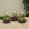 Assorted 7 Inch Potted Faux Succulent with Glass Dome