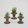 Clearance Assorted Faux Succulent Arrangement with Glass Dome