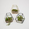 Assorted 6 Inch Metal and Glass Terrarium with Faux Succulent