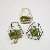 Assorted 6 Inch Metal and Glass Terrarium with Faux Succulent