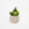 7 Inch Faux Succulent Arrangement in Cement Pot