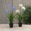 Assorted 37 Inch Faux Agapanthus Arrangement in Pot