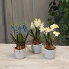 Assorted Artificial Spring Flower Arrangement in Pot