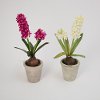 Assorted 14 Inch Potted Faux Hyacinth Arrangement