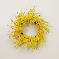 20 Inch Yellow Forsythia Wreath Arrangement with Berry Accents