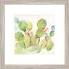 Cactus Garden I Framed Wall Art