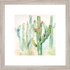 Cactus Garden II Framed Wall Art