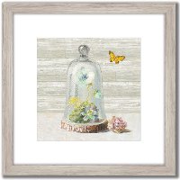 Succulent Garden II Framed Wall Art