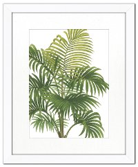 Riviera Palms I Fine Framed Wall Art