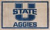3 x 5 Small Utah State Pewter Gray and Blue Area Rug - Luxury Sports