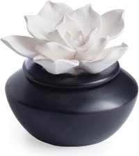 Shiny Black and Botanical Airome Oil Diffuser and Peppermint Oil - Candle Warmers
