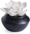 Shiny Black and Botanical Airome Oil Diffuser and Peppermint Oil