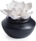 Shiny Black and Botanical Airome Oil Diffuser and Peppermint Oil