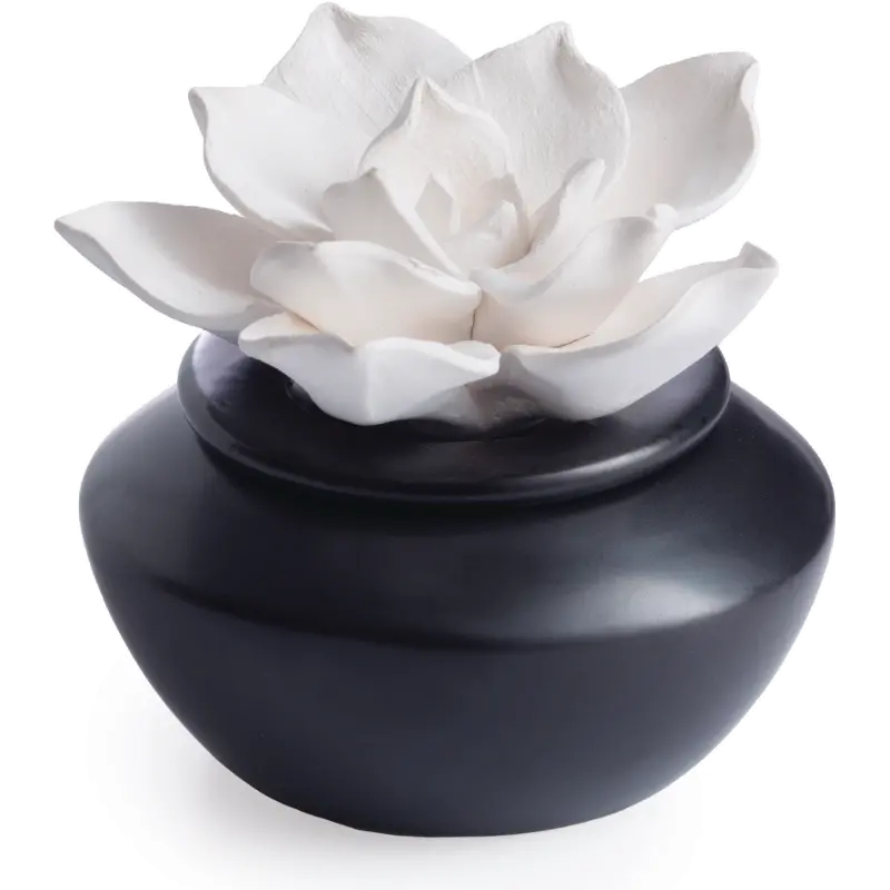 Shiny Black and Botanical Airome Oil Diffuser and Peppermint Oil