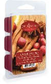 Cranberry Spice 2.5oz Wax Melt - Candle Warmers