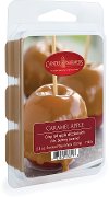 Clearance Caramel Apple 2.5oz Wax Melt - Candle Warmers