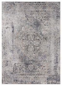 5 x 7 Medium Contemporary Gray Area Rug - Century