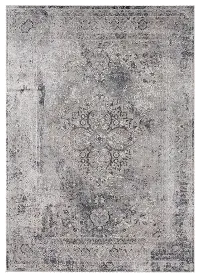 5 x 7 Medium Contemporary Gray Area Rug - Century