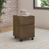 Rustic Brown 2 Drawer Mobile File Cabinet - Anthropology