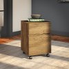 Rustic Brown 2 Drawer Mobile File Cabinet - Latitude