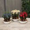 Assorted 10 Inch Artificial Spring Flower Arrangement