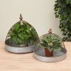 11 Inch Chicken Wire Metal Green House