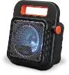 iLive Portable Wireless Speaker with FM Radio