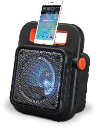 iLive Portable Wireless Speaker with FM Radio-2